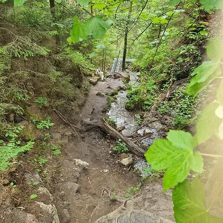 Hrabovo Helena 19